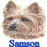 samson