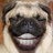 Pwning Pug